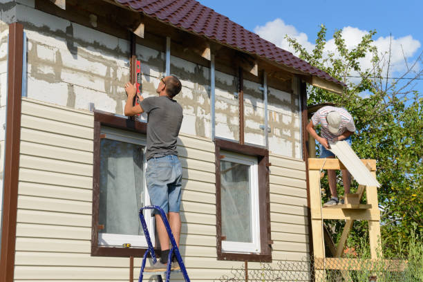 Best Stucco Siding  in Vamo, FL